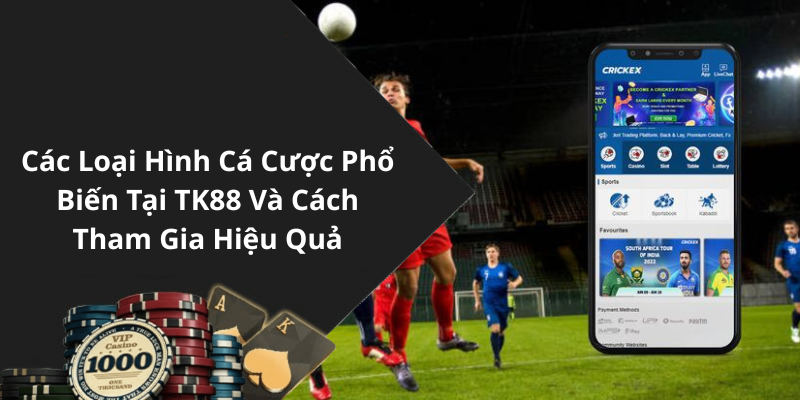 Các Loại Hình Cá Cược Phổ Biến Tại TK88 Và Cách Tham Gia Hiệu Quả
