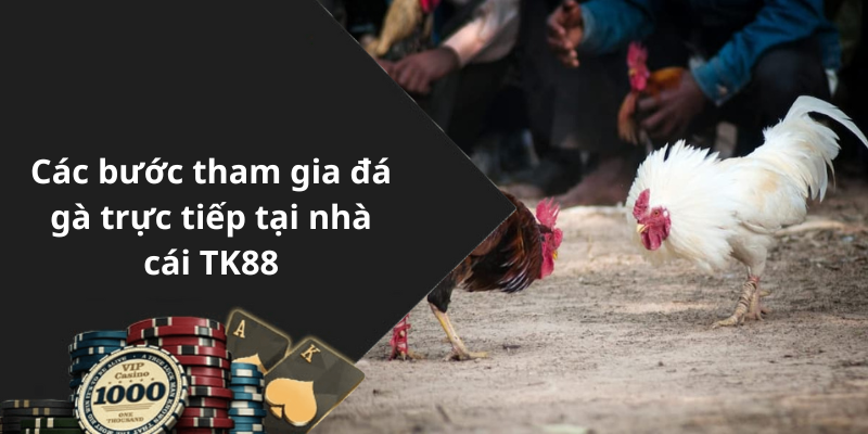 Các bước tham gia đá gà trực tiếp tại nhà cái TK88