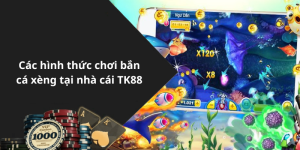 Các hình thức chơi bắn cá xèng tại nhà cái TK88