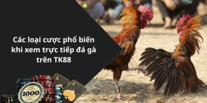 Các loại cược phổ biến khi xem trực tiếp đá gà trên TK88