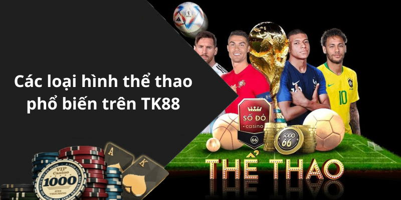 Các loại hình thể thao phổ biến trên TK88
