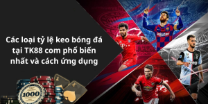 Các loại tỷ lệ keo bóng đá tại TK88 com phổ biến nhất và cách ứng dụng