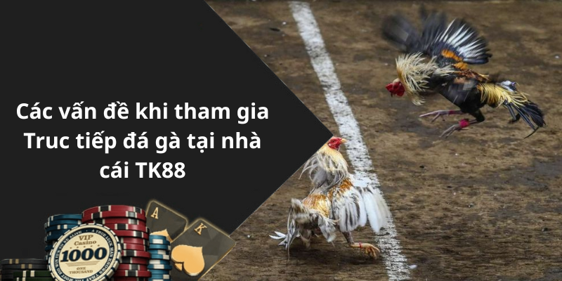 Các vấn đề khi tham gia Truc tiếp đá gà tại nhà cái TK88