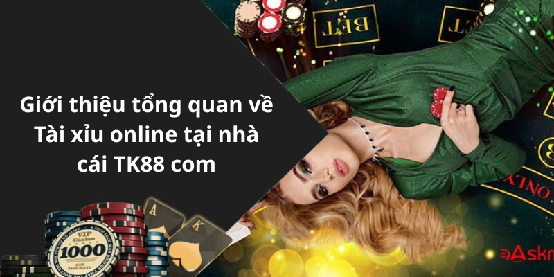 Giới thiệu tổng quan về Tài xỉu online tại nhà cái TK88 com