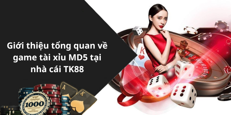 Giới thiệu tổng quan về game tài xỉu MD5 tại nhà cái TK88