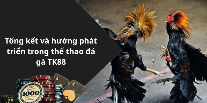 Tổng kết và hướng phát triển trong thể thao đá gà TK88