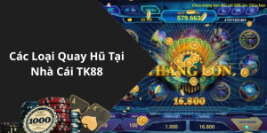 Các Loại Quay Hũ Tại Nhà Cái TK88