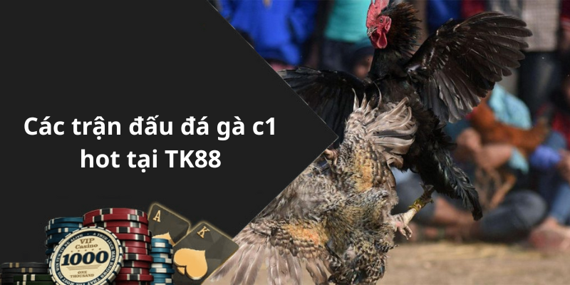 Các trận đấu đá gà c1 hot tại TK88