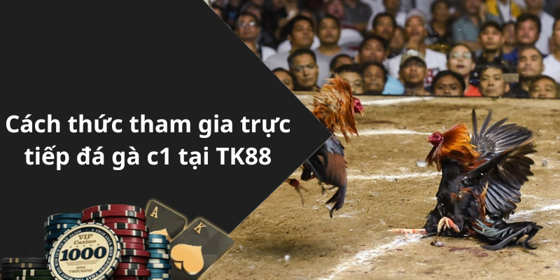 Cách thức tham gia trực tiếp đá gà c1 tại TK88
