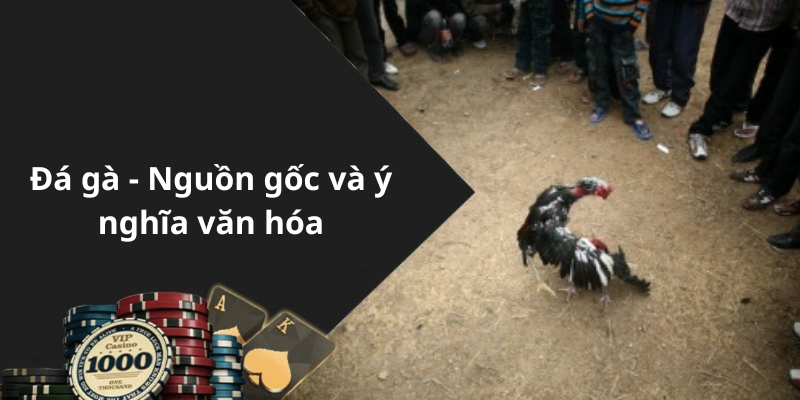 Đá gà - Nguồn gốc và ý nghĩa văn hóa