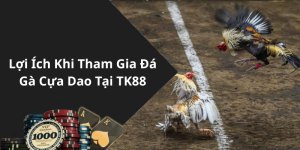 Lợi Ích Khi Tham Gia Đá Gà Cựa Dao Tại TK88