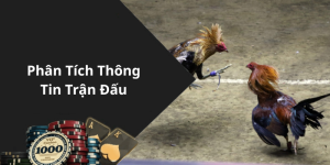 Phân Tích Thông Tin Trận Đấu