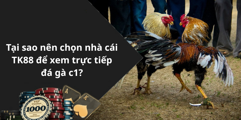 Tại sao nên chọn nhà cái TK88 để xem trực tiếp đá gà c1