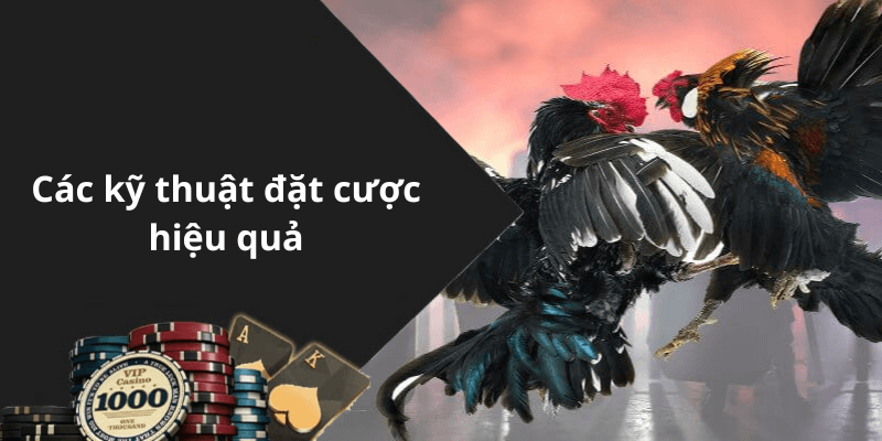 Các kỹ thuật đặt cược hiệu quả